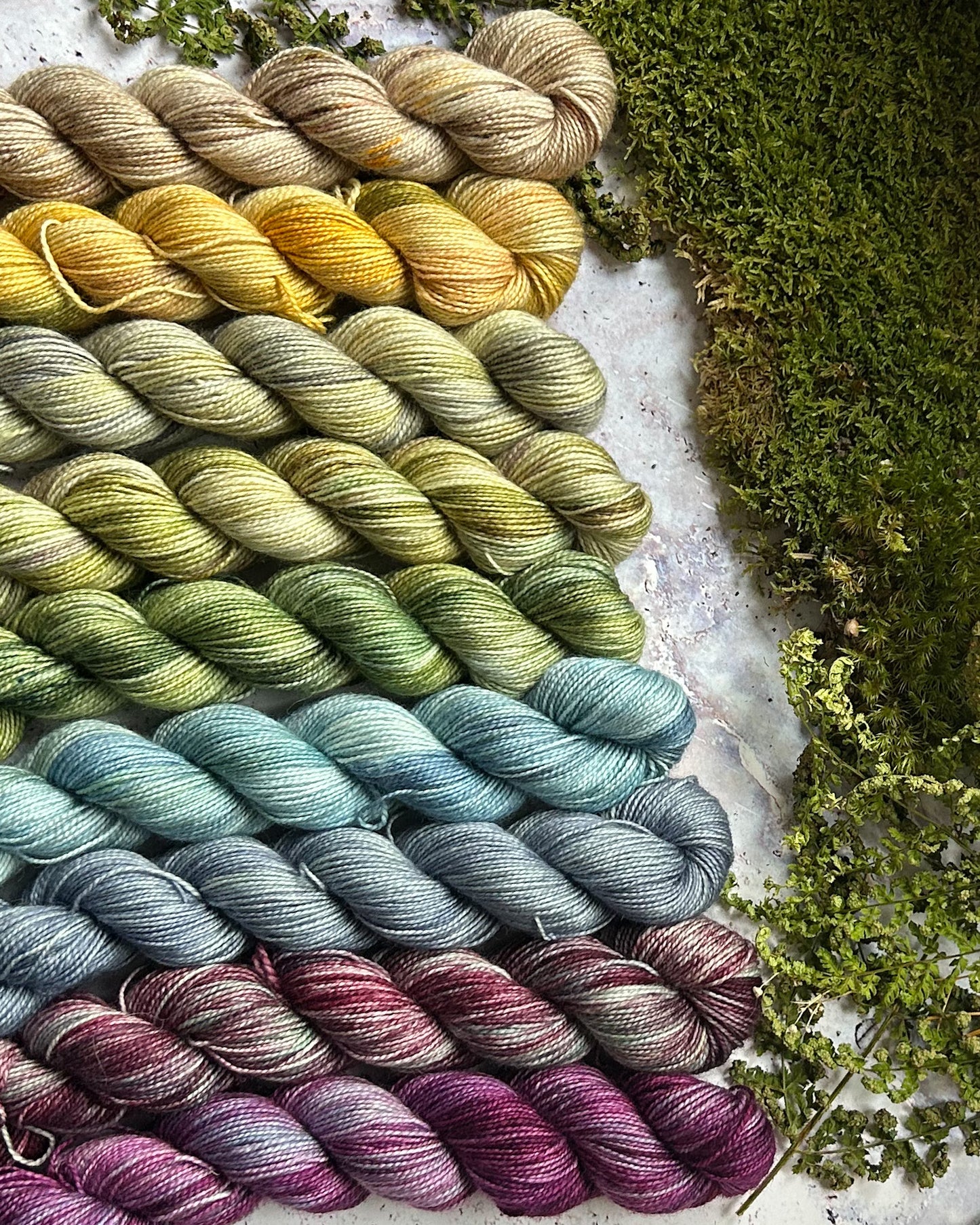Hunger Games 50g Set