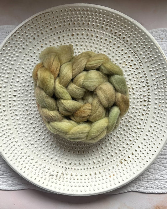 Forage - Polwarth