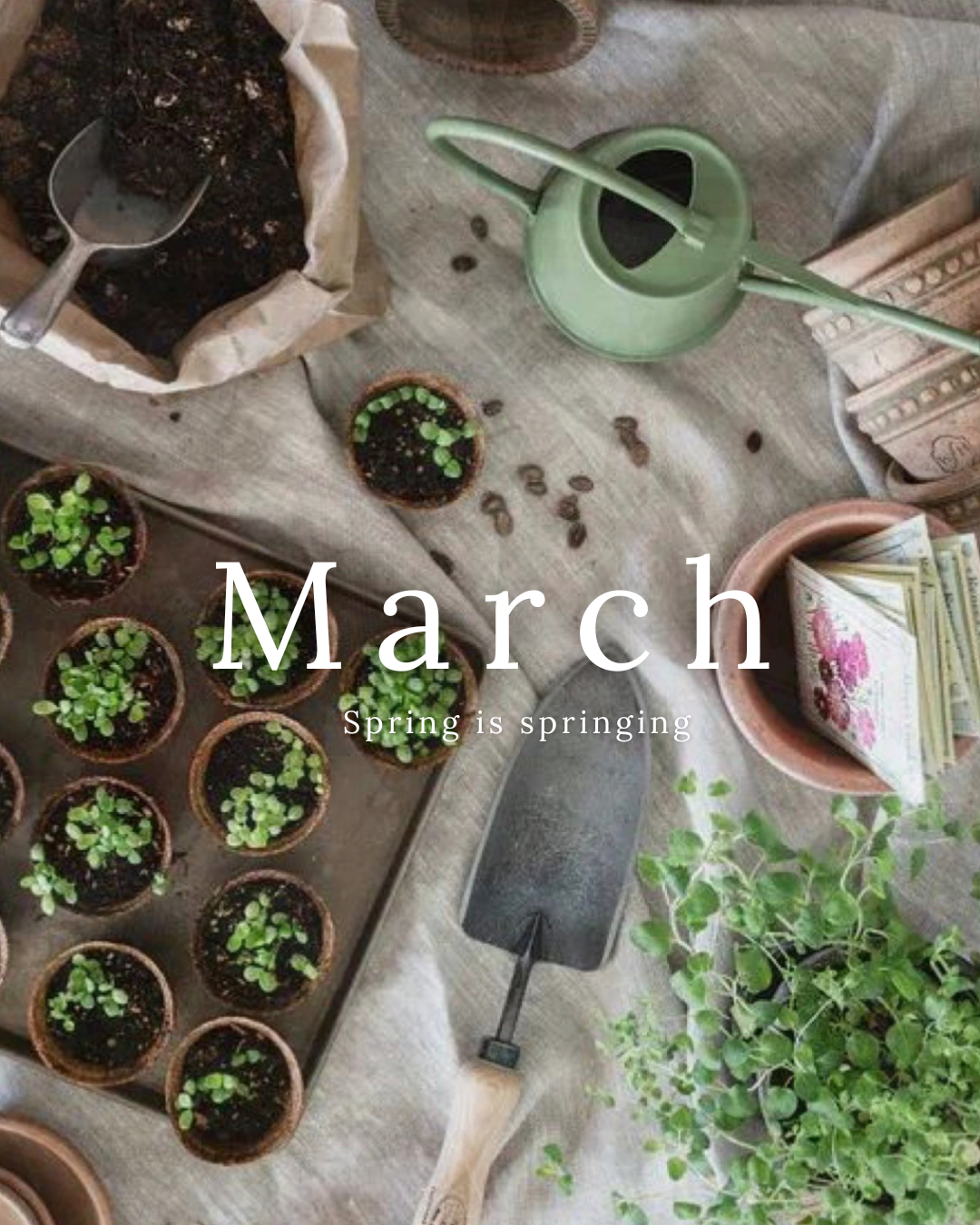 Koselig The Cozy Yarn Club