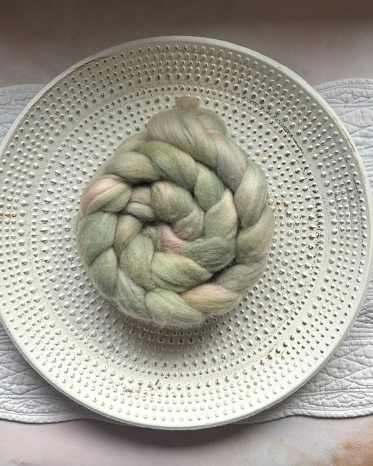 A Wallflower Among The Ton - Polwarth
